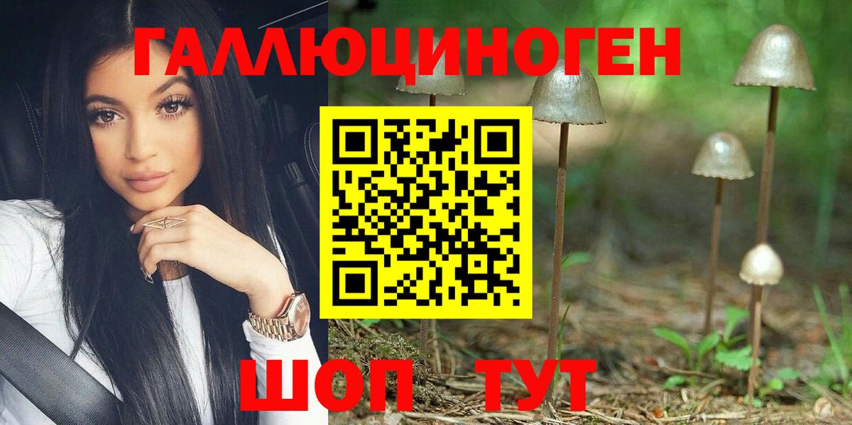 Галлюциногенные грибы Psilocybine cubensis Боровичи