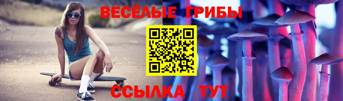 Псилоцибиновые грибы MAGIC MUSHROOMS  Вход с VPN  Боровичи 